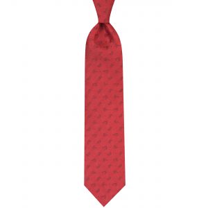 ست کراوات دستمال جیب گل کت مدل GF-PA237-BE